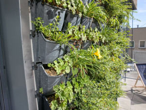 FOTOGALERIE: Envelopa Hub v Olomouci nabídne zázemí pro odborníky z univerzity a firmy