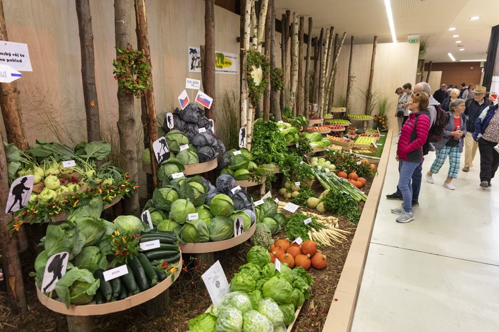 FOTOGALERIE: Podzimní Flora 2023 nese podtitul Společné kořeny
