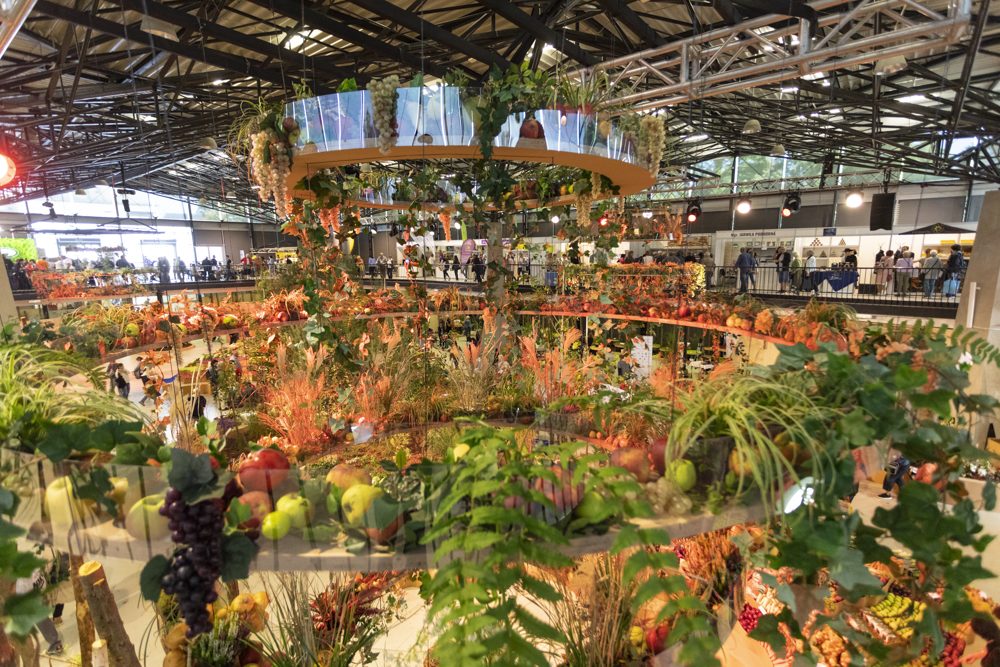 FOTOGALERIE: Podzimní Flora 2023 nese podtitul Společné kořeny