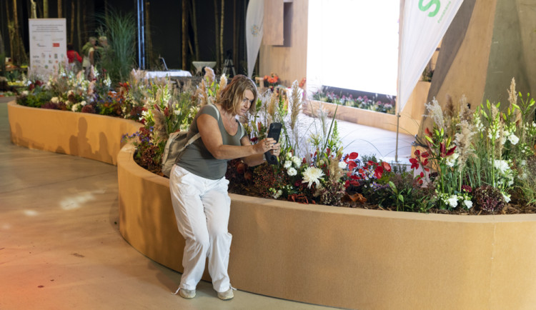FOTOGALERIE: Podzimní Flora 2023 nese podtitul Společné kořeny