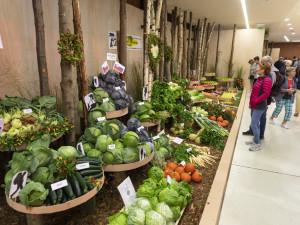 FOTOGALERIE: Podzimní Flora 2023 nese podtitul Společné kořeny