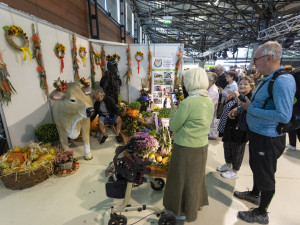 FOTOGALERIE: Podzimní Flora 2023 nese podtitul Společné kořeny