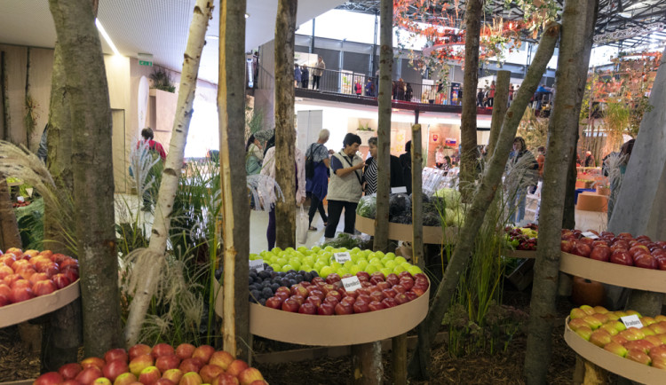 FOTOGALERIE: Podzimní Flora 2023 nese podtitul Společné kořeny