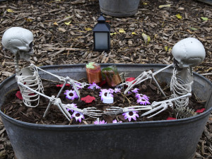 FOTOGALERIE: Večer duchů v Zoo Olomouc přitáhl davy