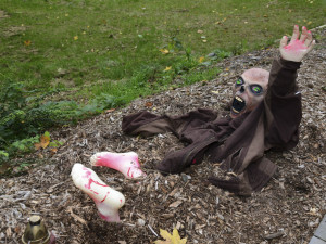 FOTOGALERIE: Večer duchů v Zoo Olomouc přitáhl davy