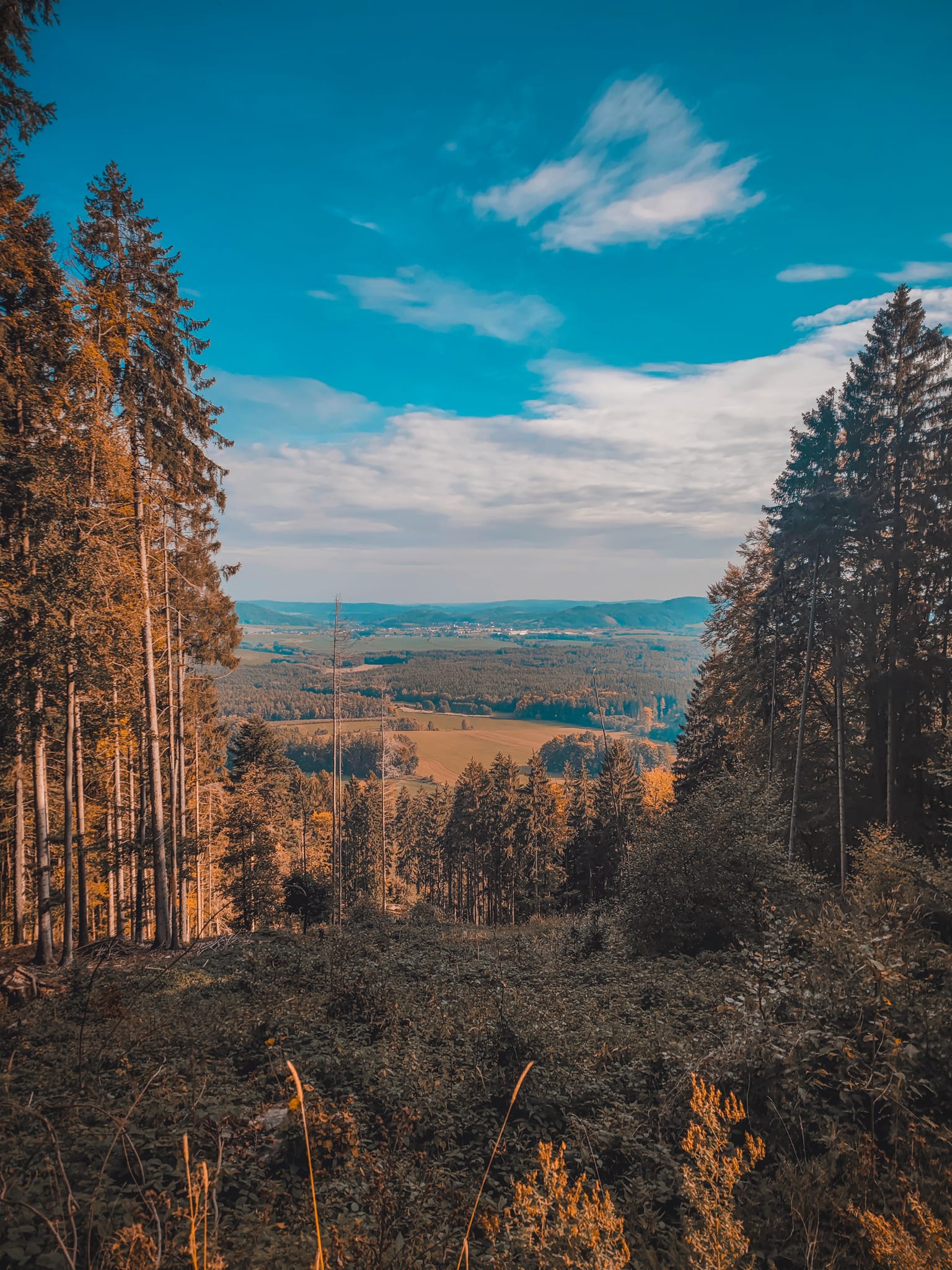 FOTOGALERIE: