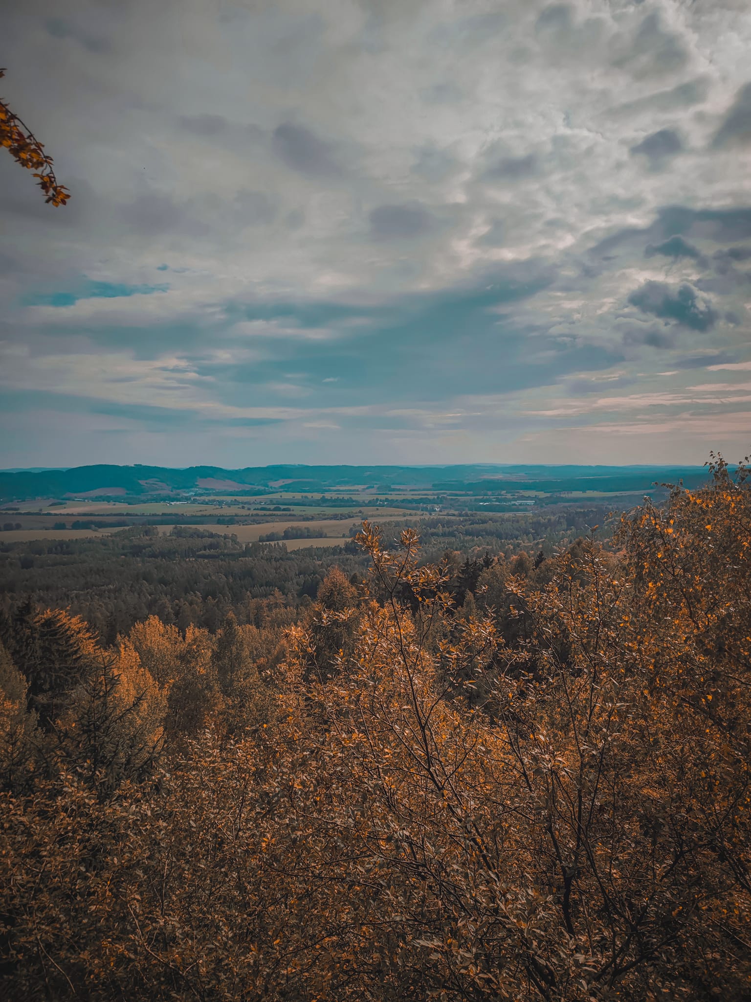 FOTOGALERIE: