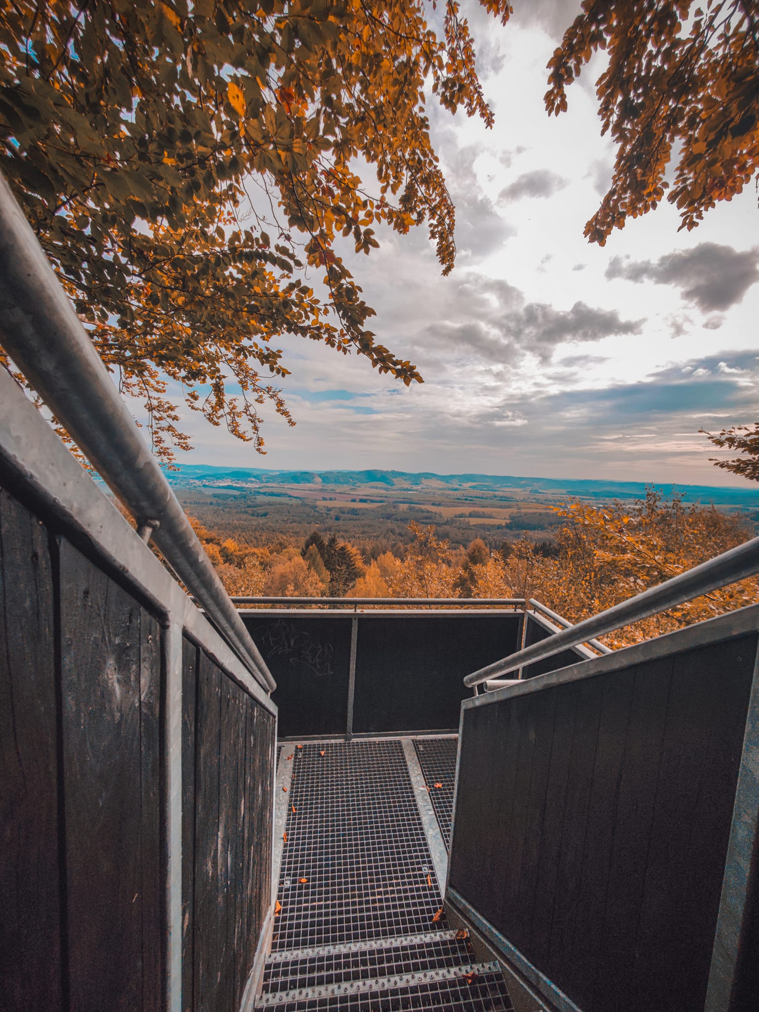 FOTOGALERIE: