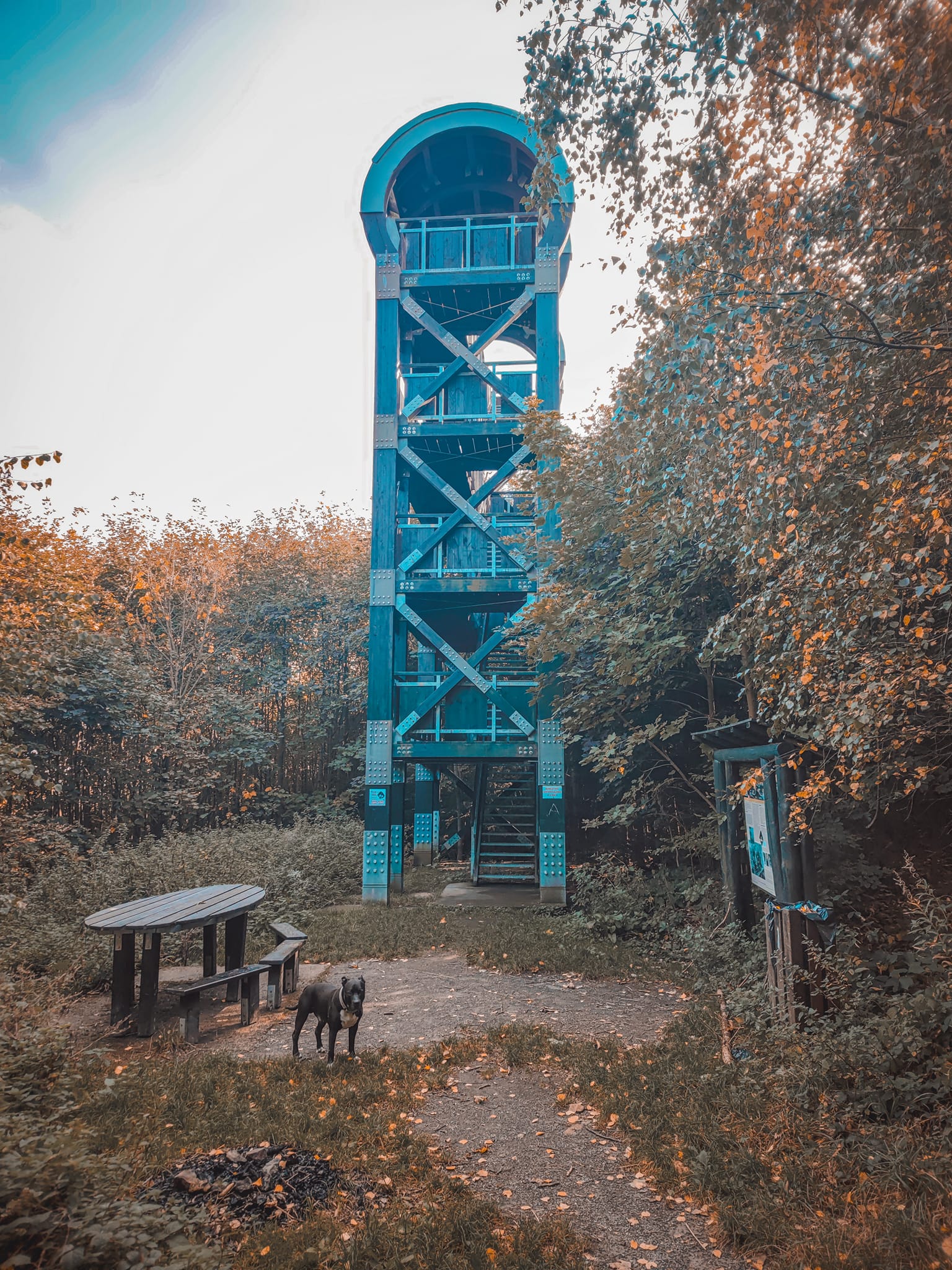 FOTOGALERIE: