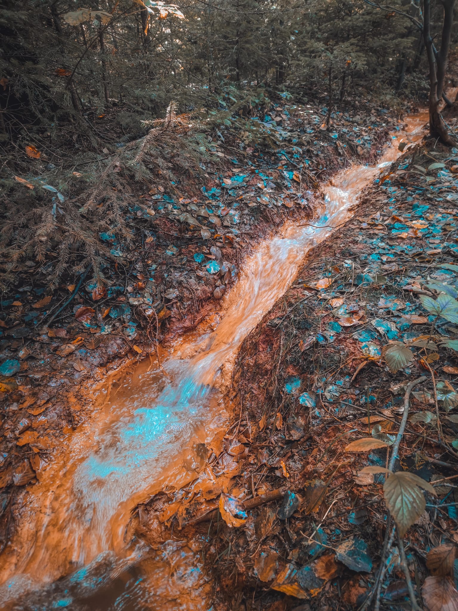 FOTOGALERIE: