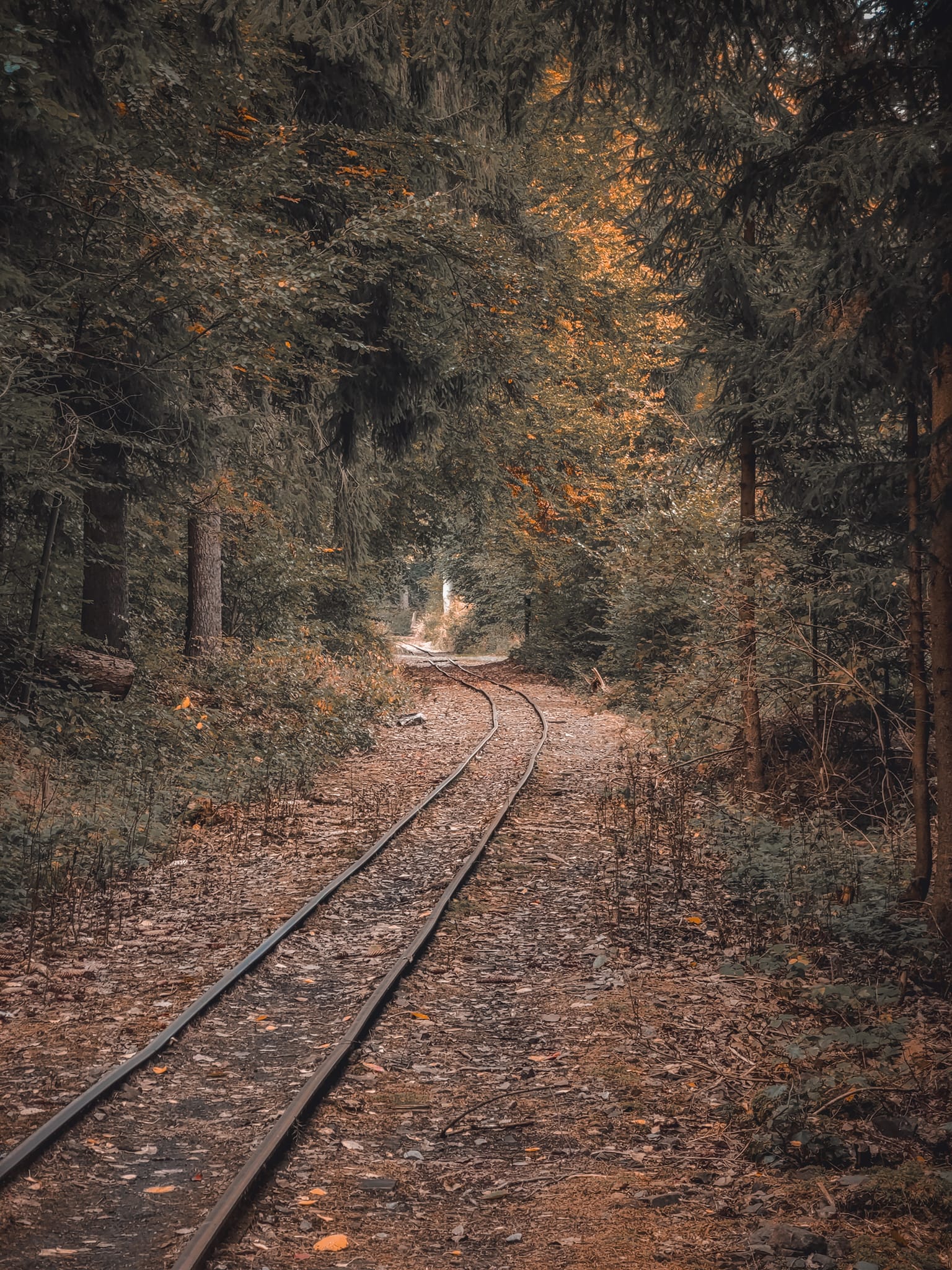 FOTOGALERIE: