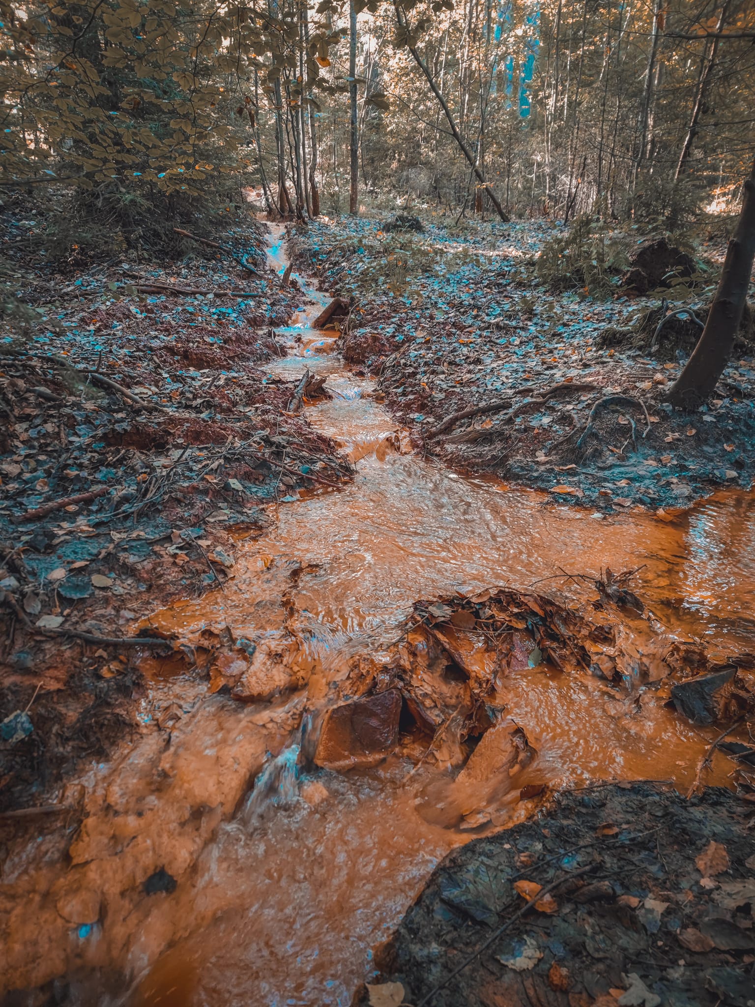 FOTOGALERIE: