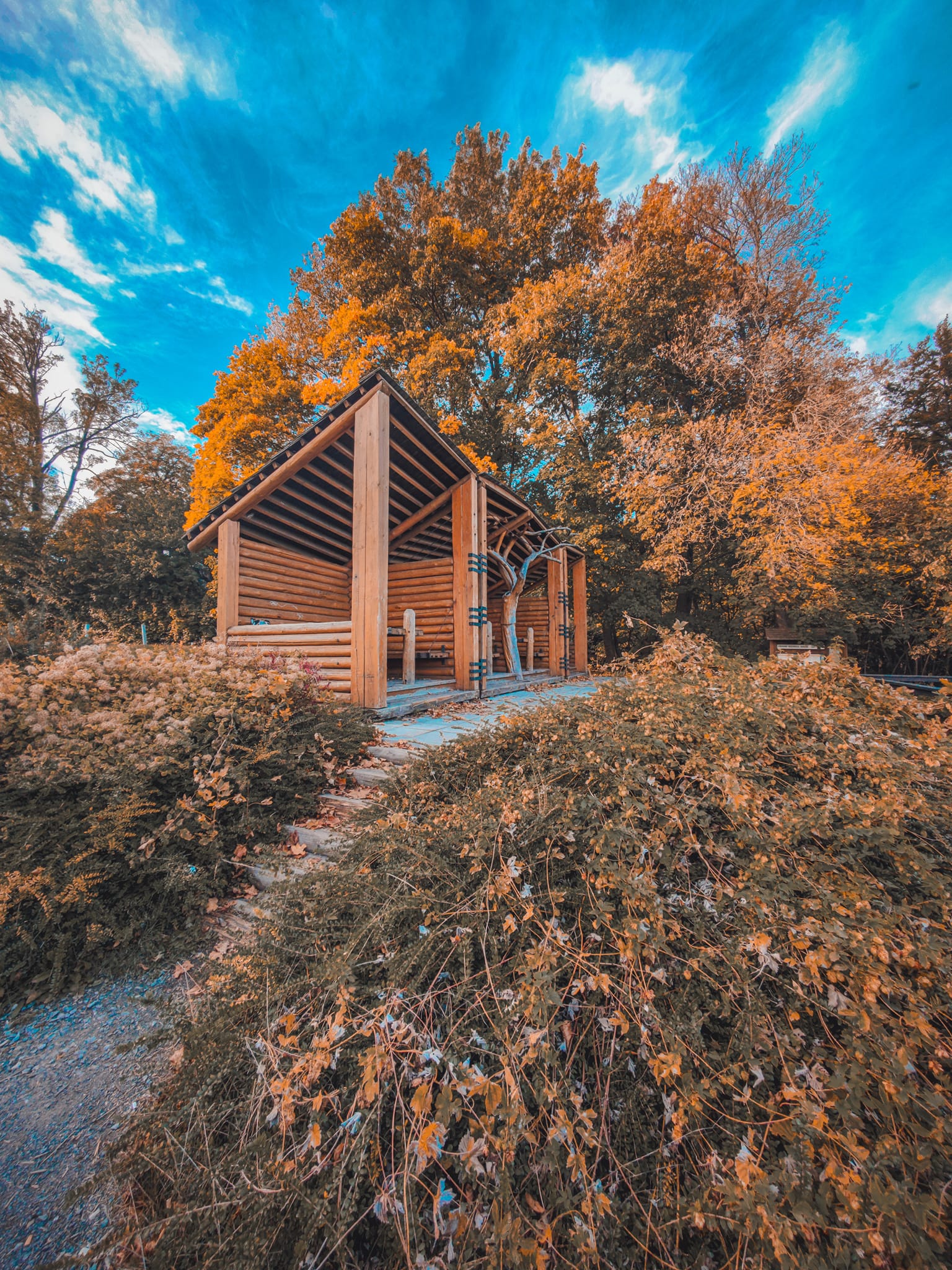 FOTOGALERIE: