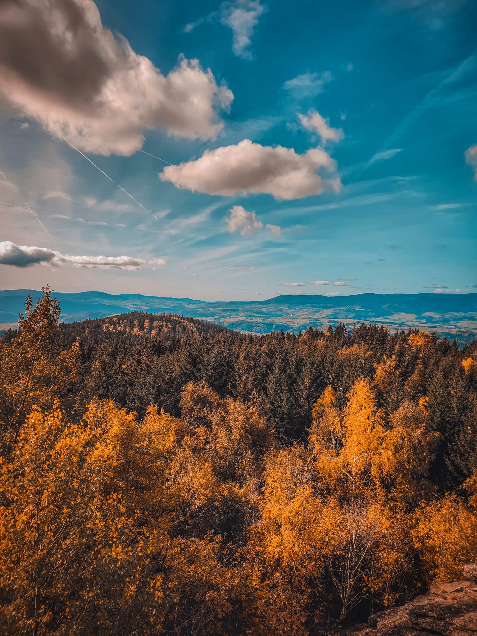 FOTOGALERIE: