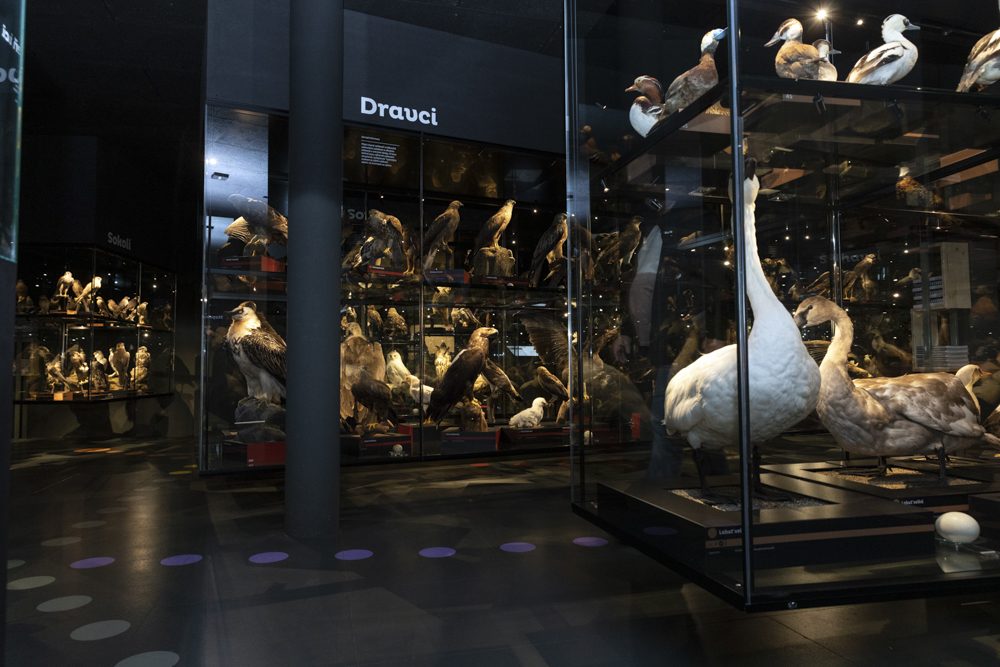 FOTOGALERIE: Přerovská ornitologická stanice má novou expozici i depozitář