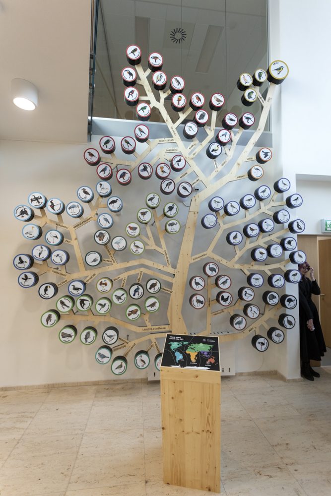 FOTOGALERIE: Přerovská ornitologická stanice má novou expozici i depozitář