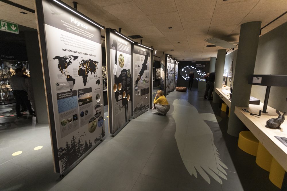 FOTOGALERIE: Přerovská ornitologická stanice má novou expozici i depozitář