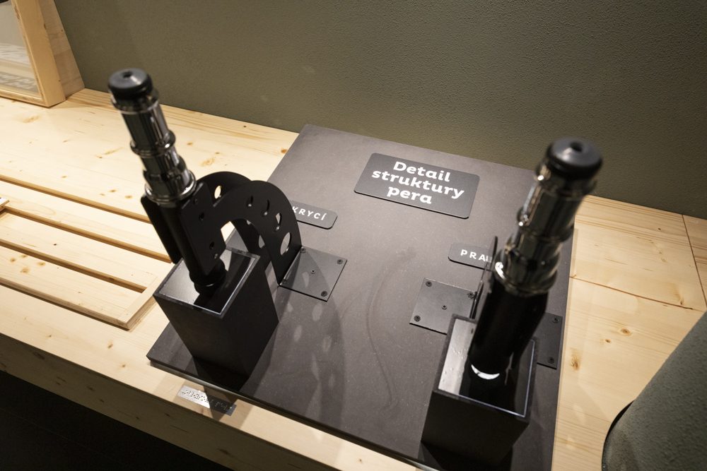 FOTOGALERIE: Přerovská ornitologická stanice má novou expozici i depozitář