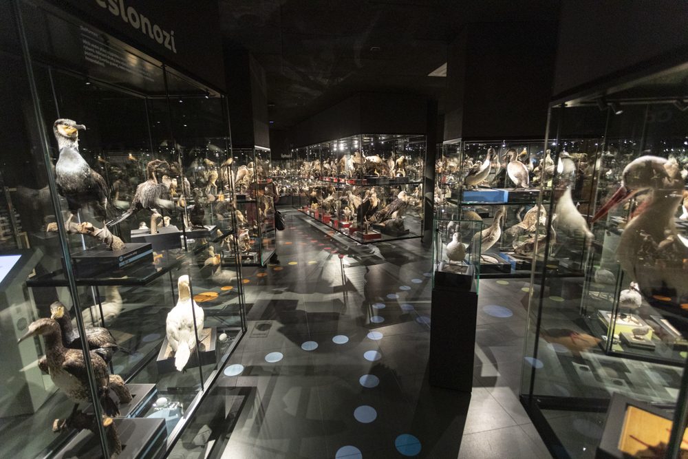 FOTOGALERIE: Přerovská ornitologická stanice má novou expozici i depozitář