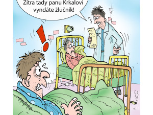 FOTOGALERIE: První v prosinci středa, humoru a legrace je třeba