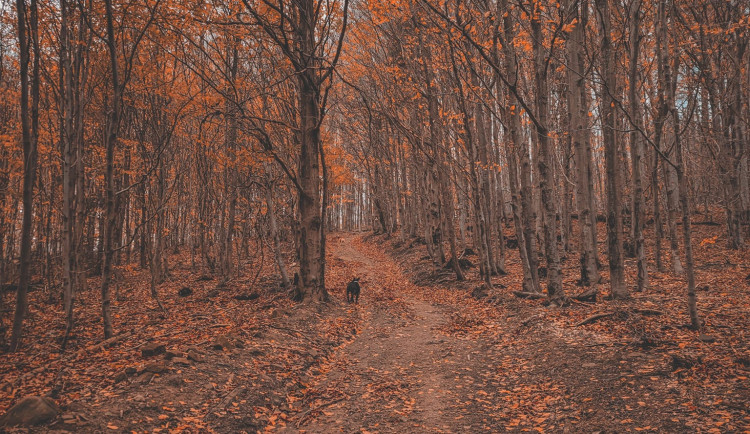 FOTOGALERIE: Krásné Hostýnské vrchy, ideální procházka na konec roku