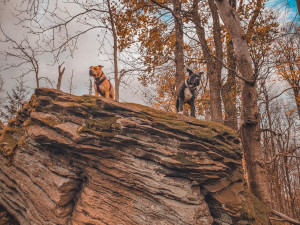 FOTOGALERIE: Krásné Hostýnské vrchy, ideální procházka na konec roku