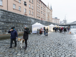 FOTOGALERIE: Vánoční trhy na olomoucké náplavce mají za sebou první ročník