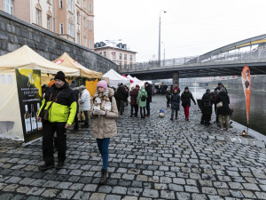 FOTOGALERIE: Vánoční trhy na olomoucké náplavce mají za sebou první ročník