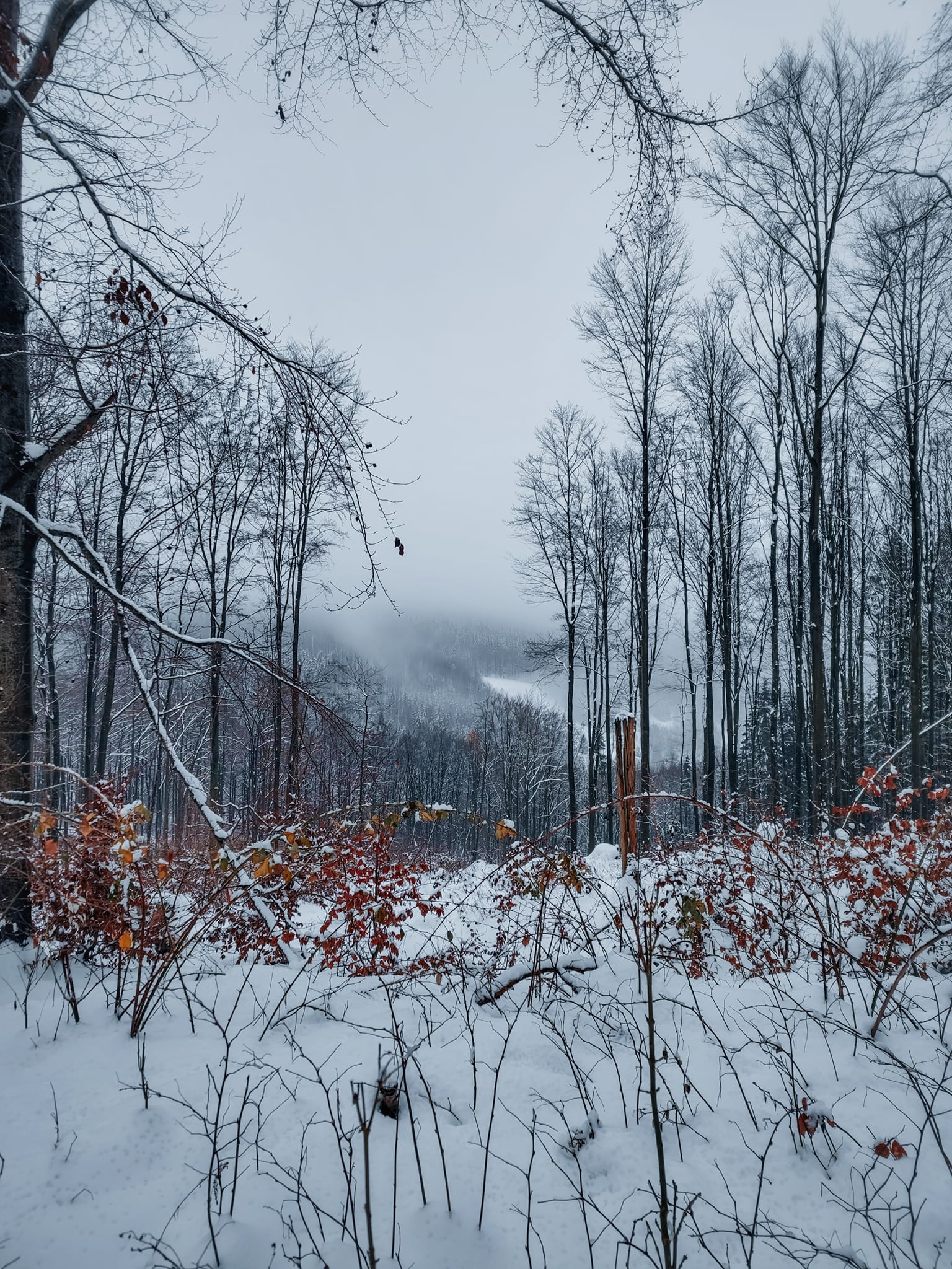 FOTOGALERIE: Zima na Rabštejně je kouzelná