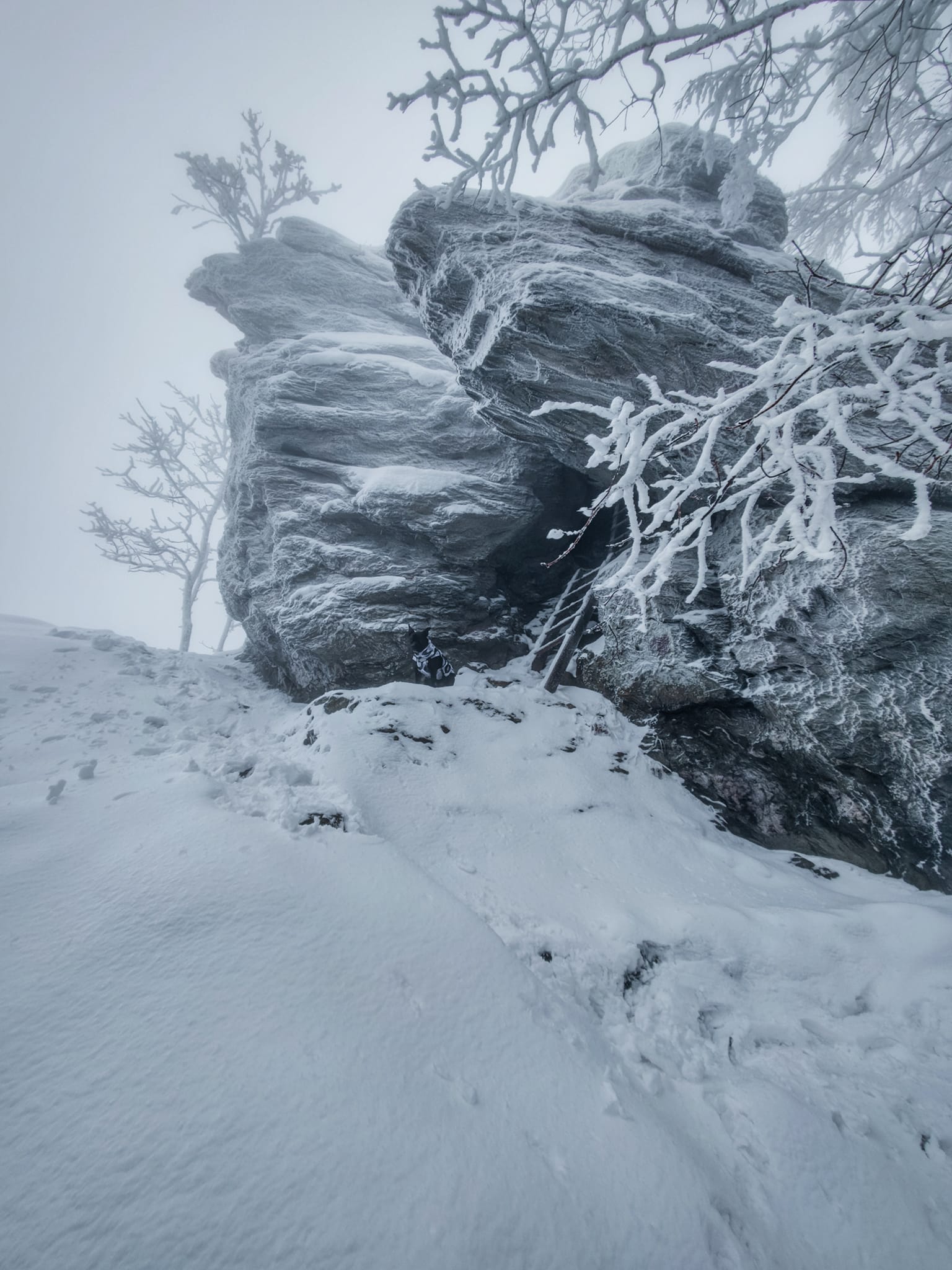 FOTOGALERIE: Zima na Rabštejně je kouzelná