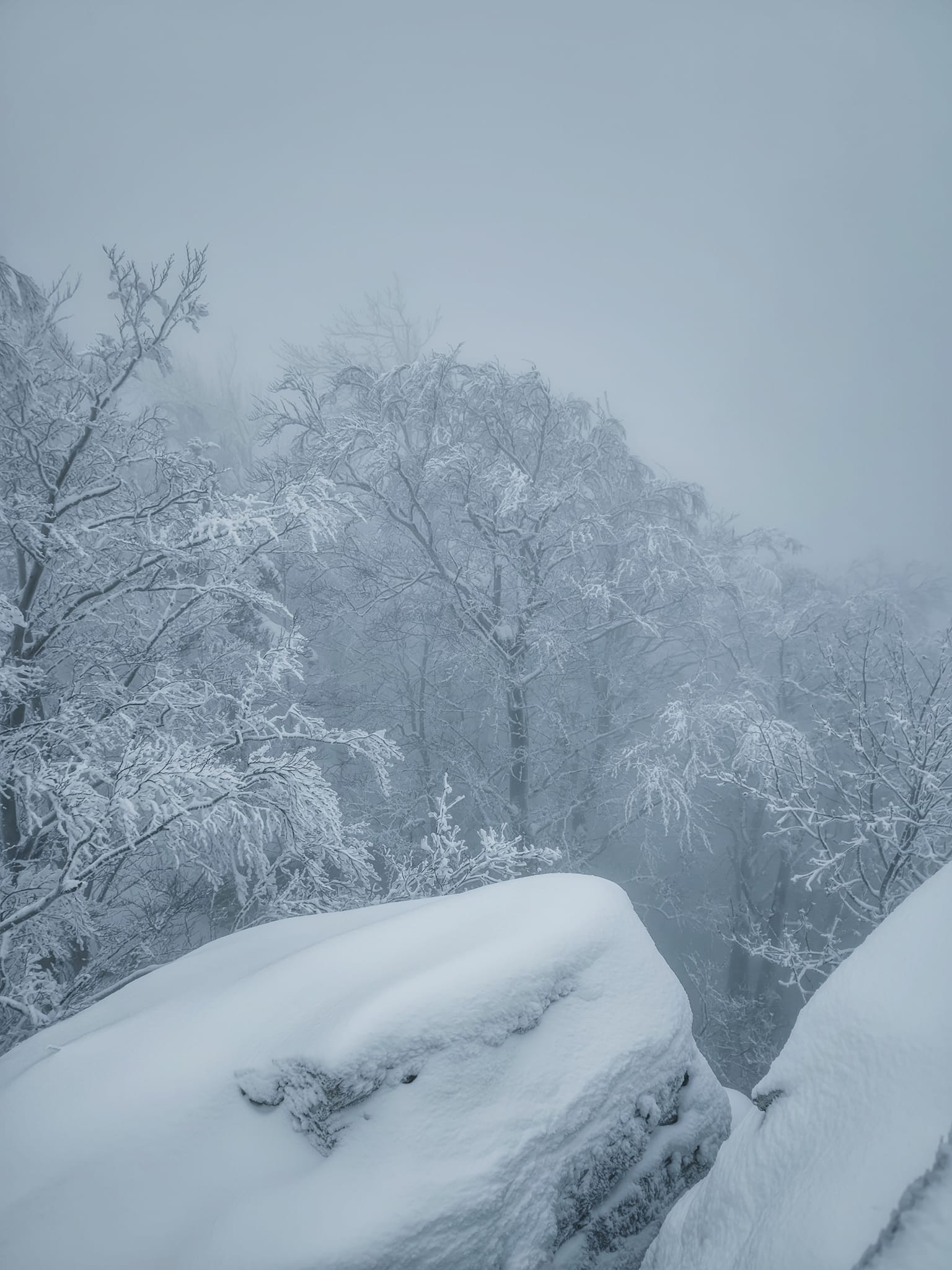 FOTOGALERIE: Zima na Rabštejně je kouzelná