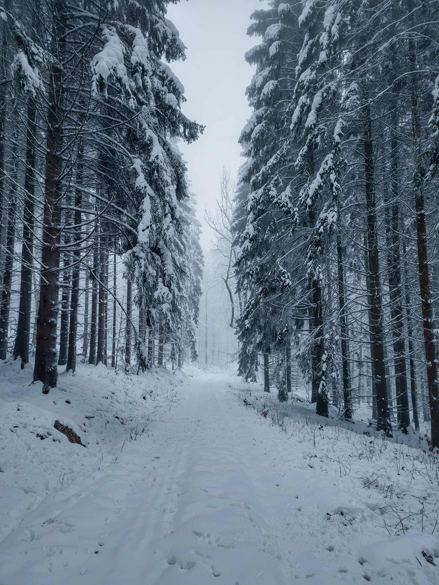 FOTOGALERIE: Zima na Rabštejně je kouzelná