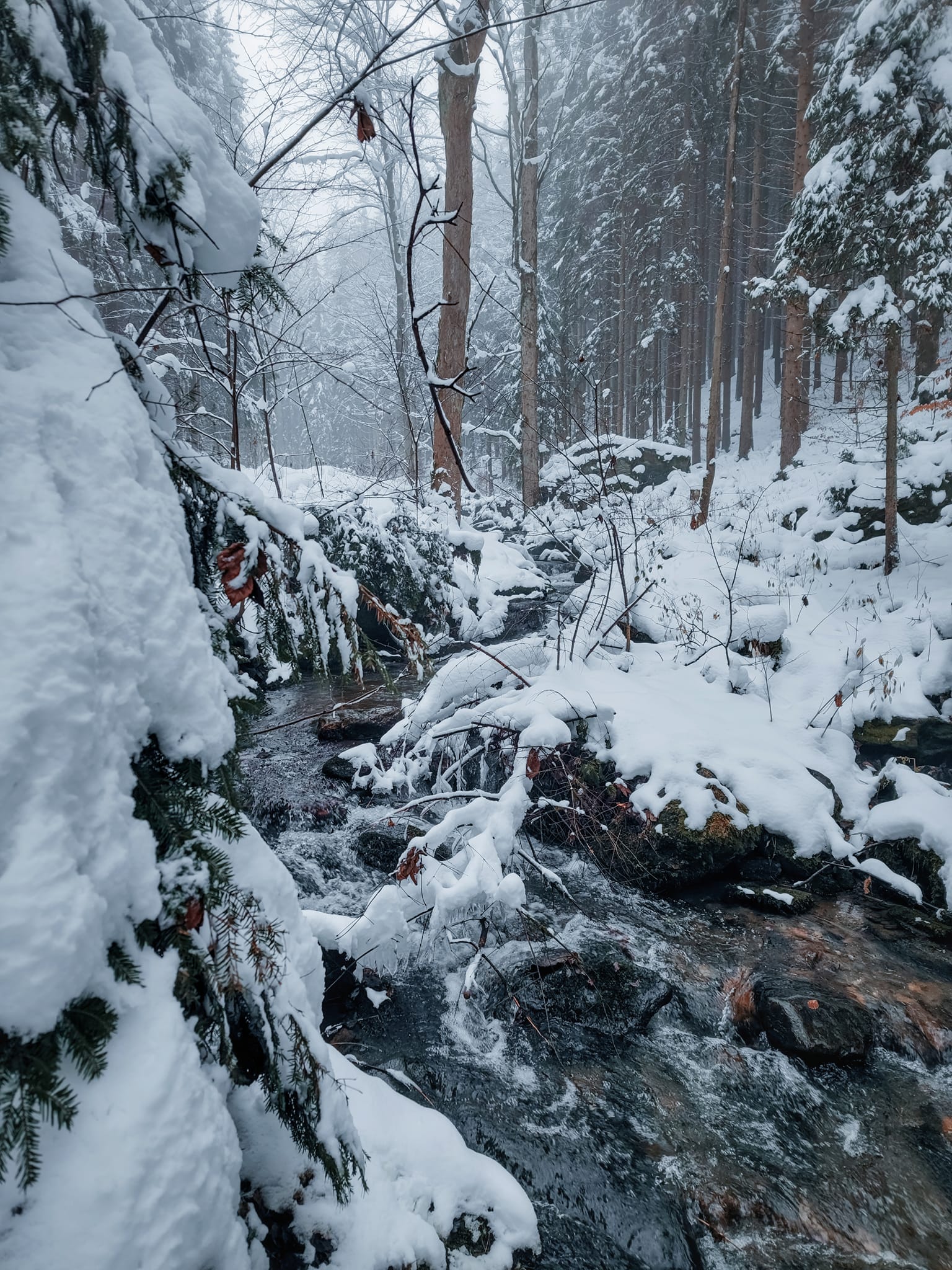 FOTOGALERIE: Zima na Rabštejně je kouzelná