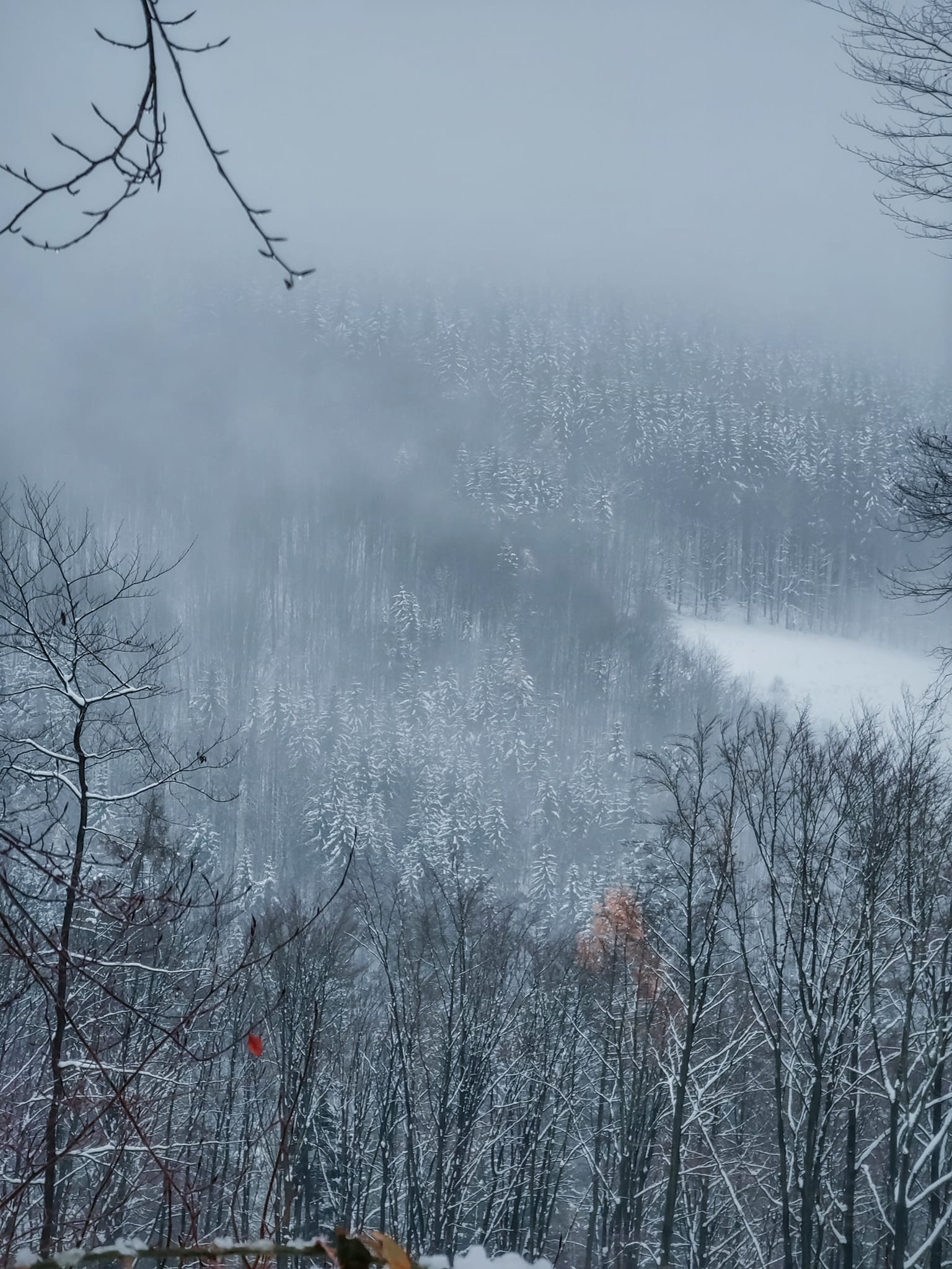 FOTOGALERIE: Zima na Rabštejně je kouzelná
