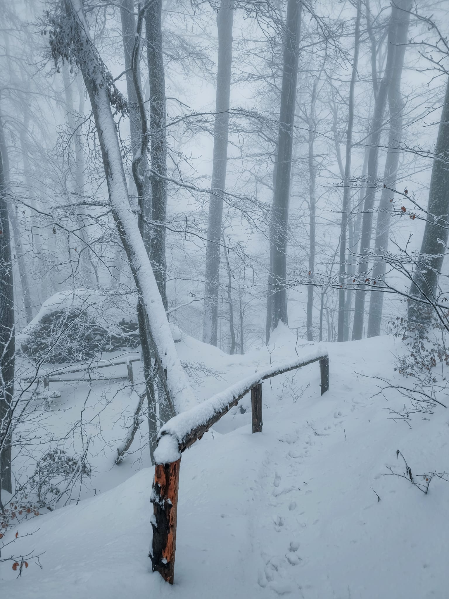 FOTOGALERIE: Zima na Rabštejně je kouzelná