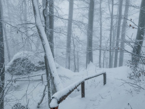 FOTOGALERIE: Zima na Rabštejně je kouzelná