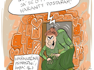 FOTOGALERIE: První v lednu středa, humoru a legrace je třeba