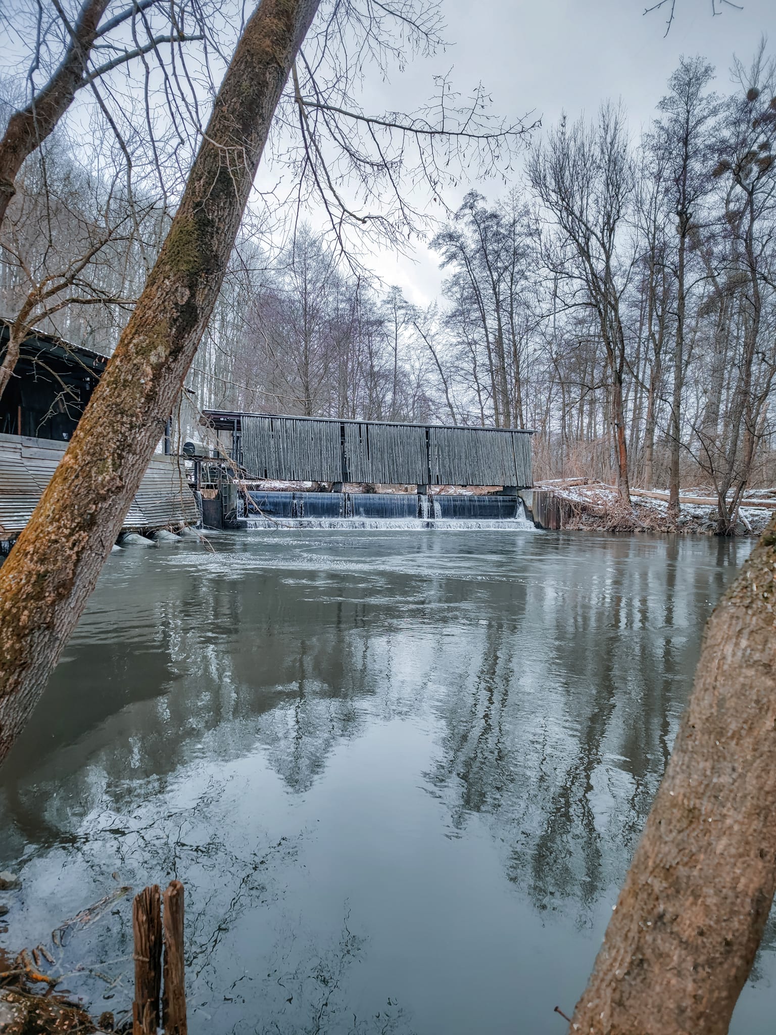 FOTOGALERIE: