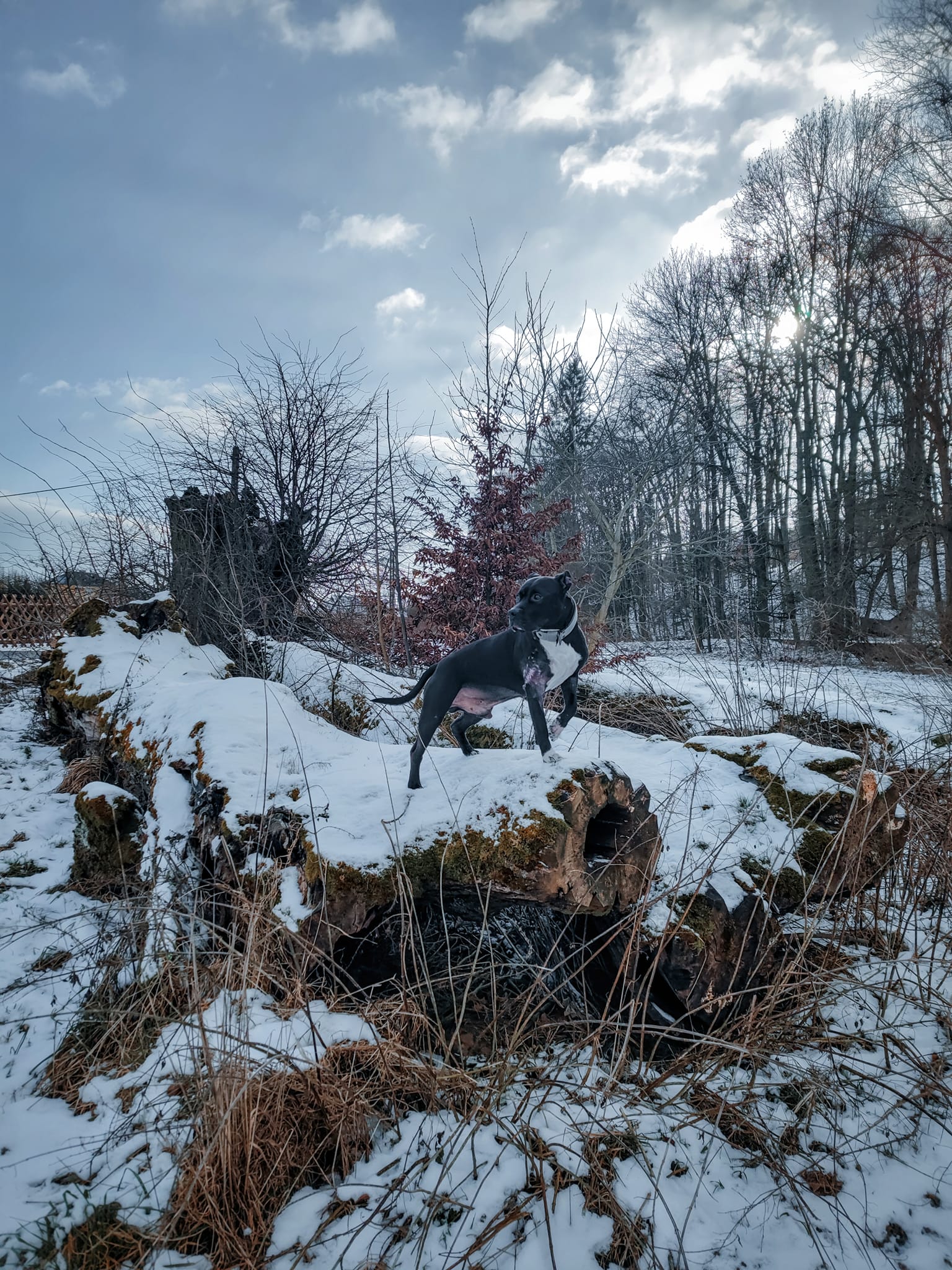 FOTOGALERIE:
