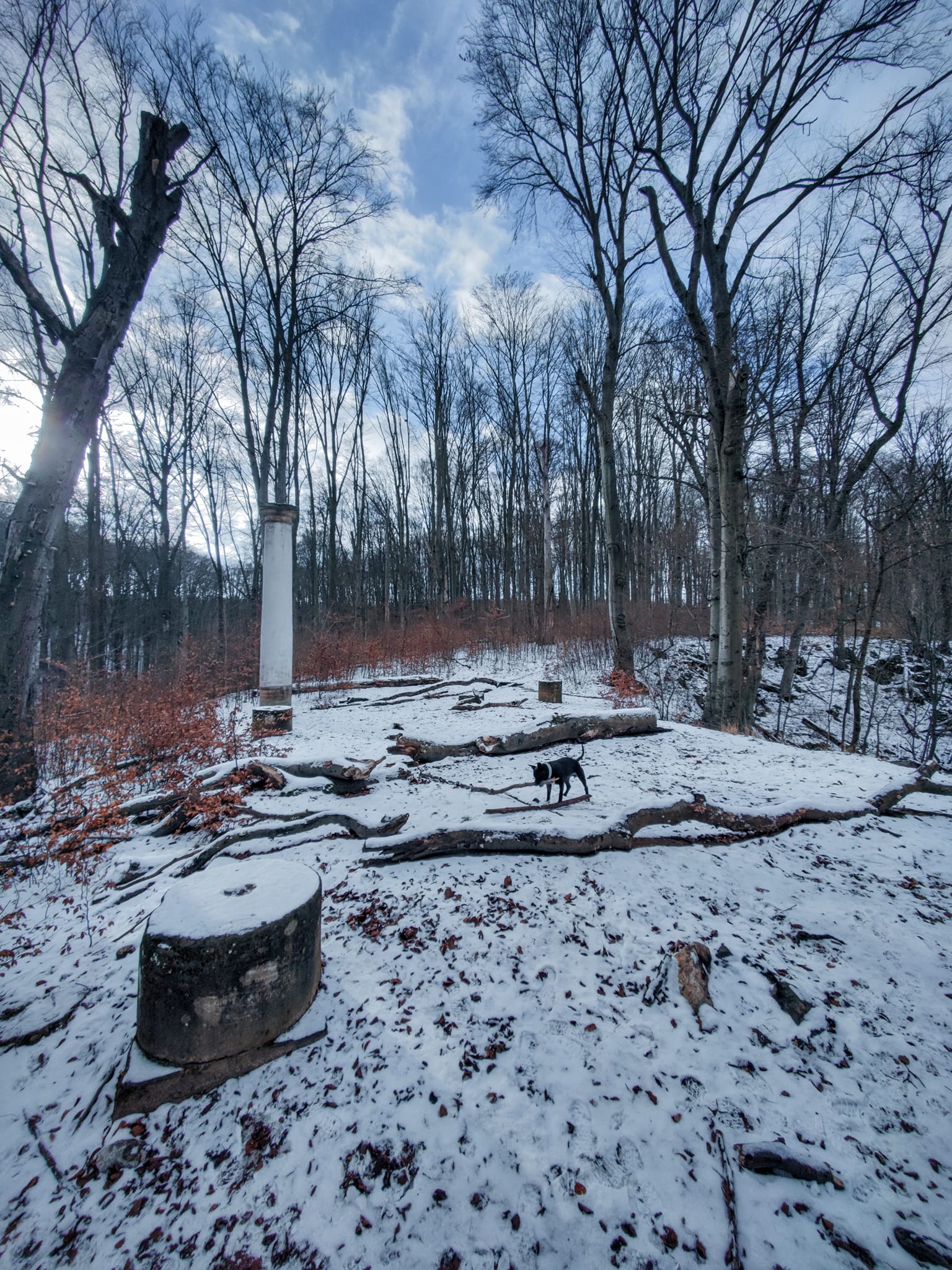 FOTOGALERIE: