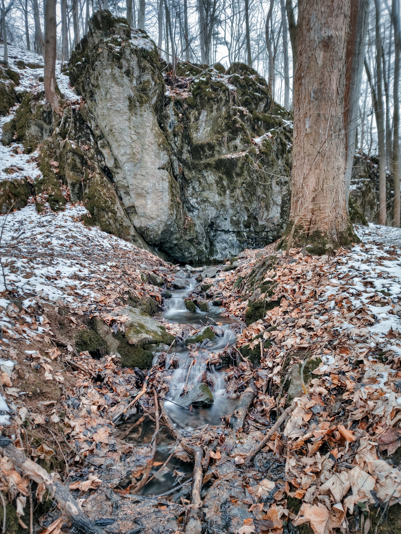 FOTOGALERIE: