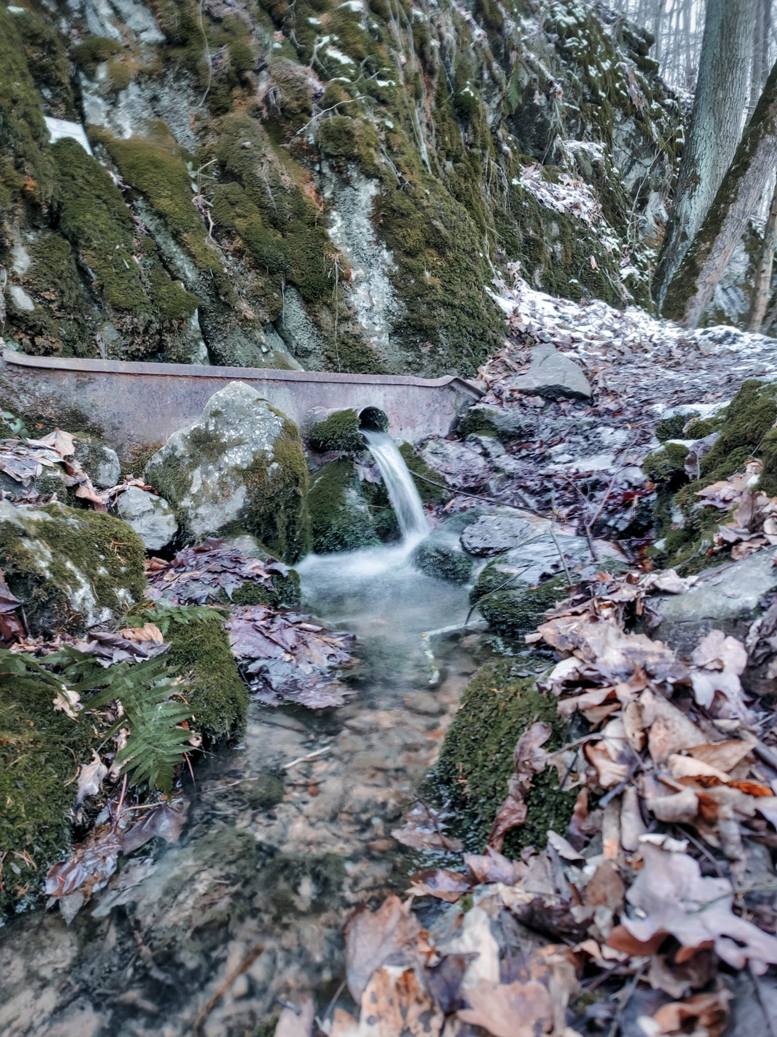 FOTOGALERIE: