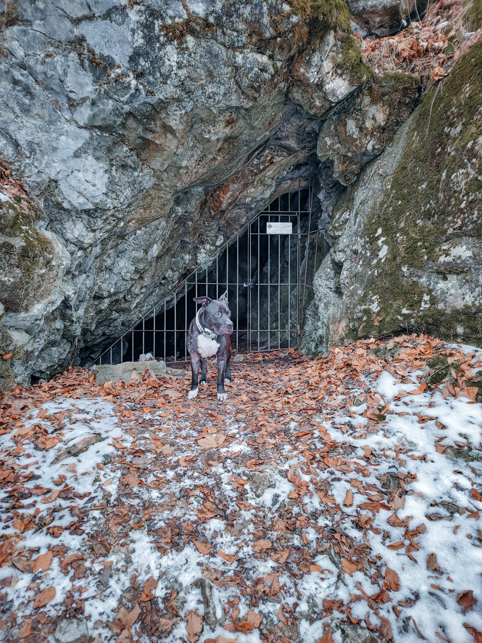 FOTOGALERIE: