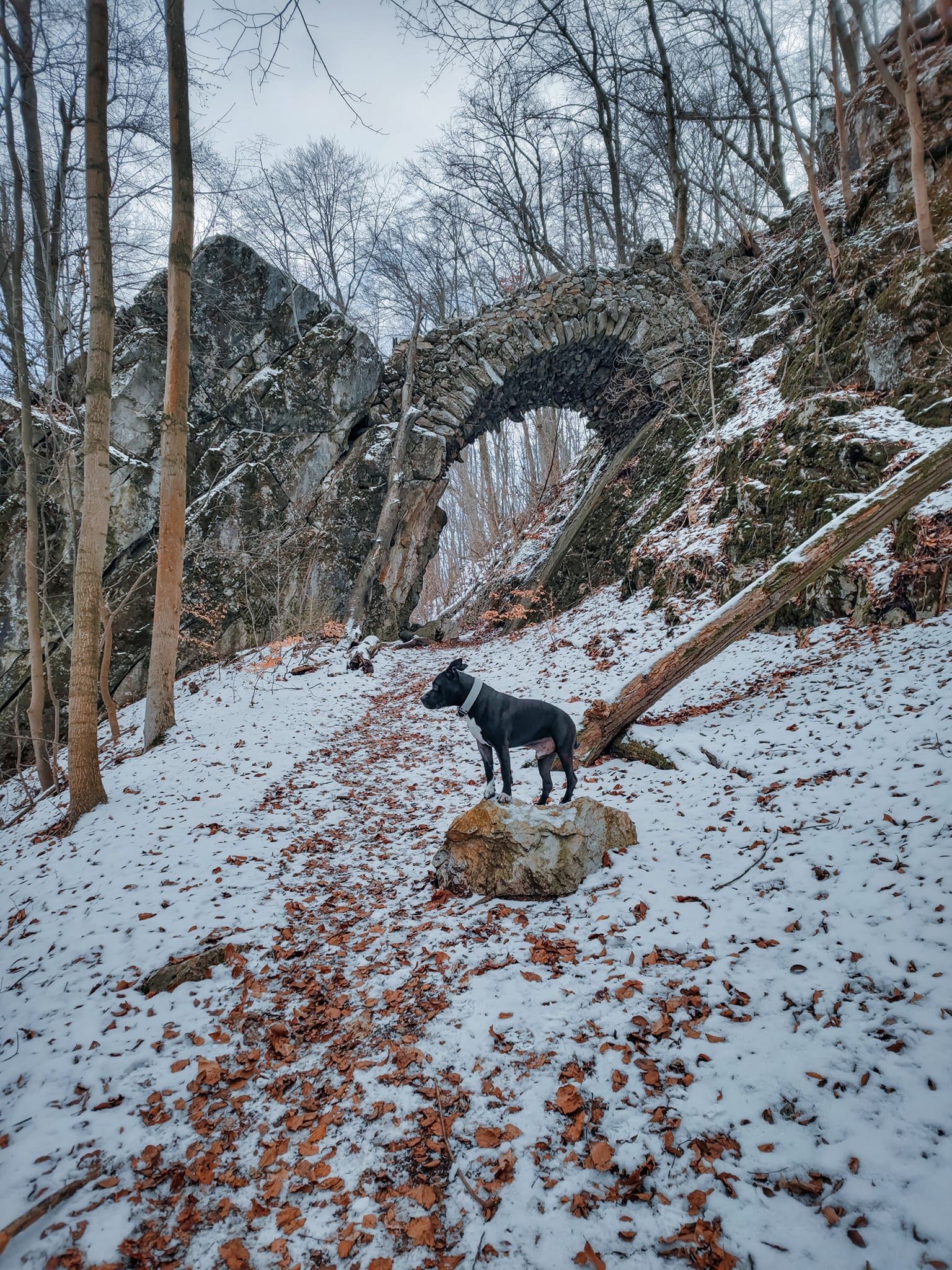 FOTOGALERIE: