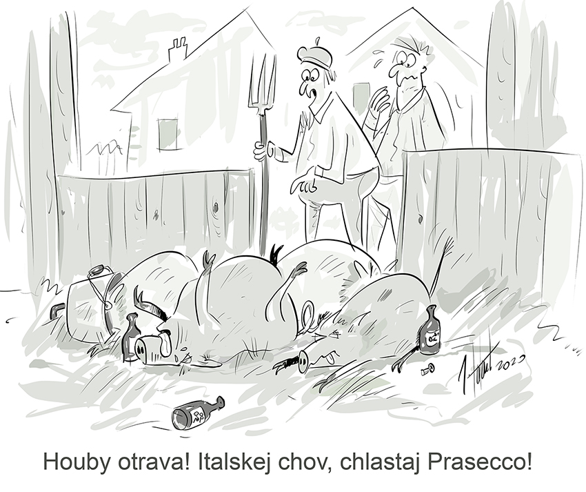 FOTOGALERIE: První v únoru středa, humoru a legrace je třeba