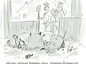 FOTOGALERIE: První v únoru středa, humoru a legrace je třeba