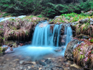 FOTOGALERIE: Jeseníky ukrývají tajemný vodní svět