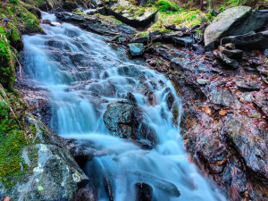 FOTOGALERIE: Jeseníky ukrývají tajemný vodní svět