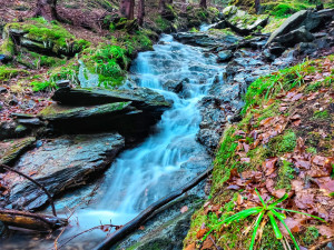 FOTOGALERIE: Jeseníky ukrývají tajemný vodní svět