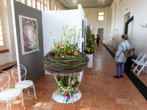 FOTOGALERIE: Galaxie květin se otevřela návštěvníkům, jarní Flora v Olomouc láká davy